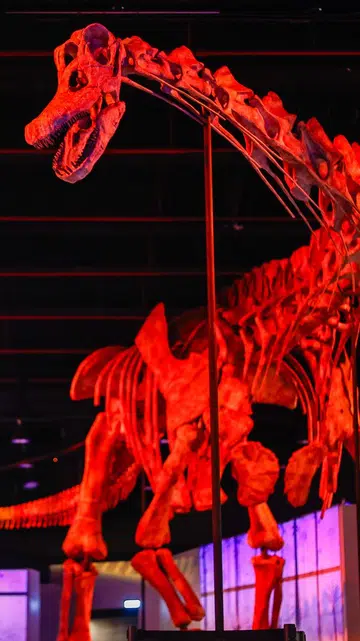 Dino Disco: The Last Dance - dinosaur rave at Science Centre Singapore