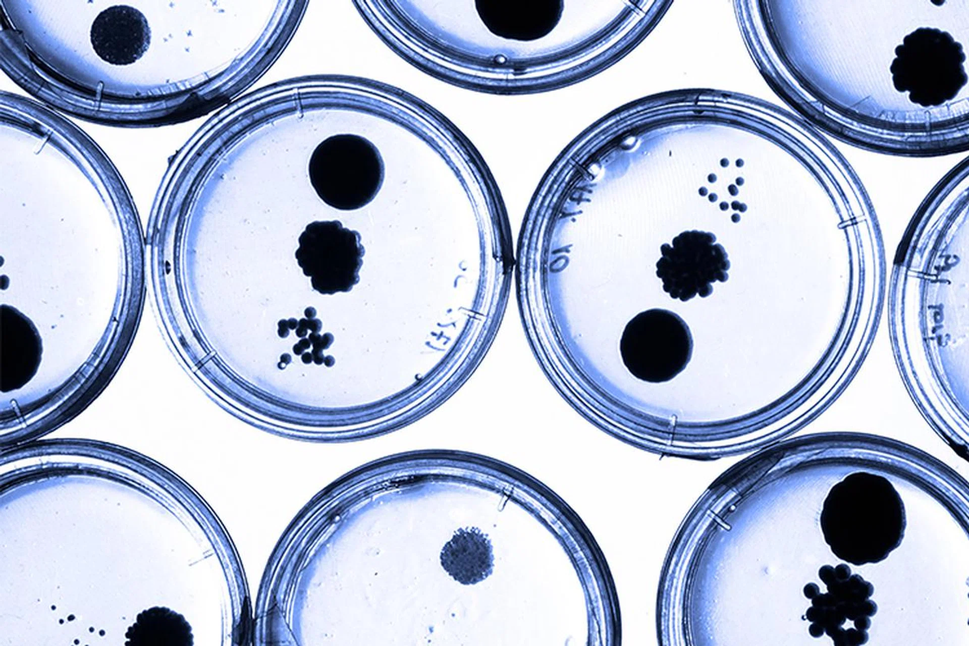 Could Germs Be Good For Our Complexion? A New Skincare Line Says Yes ...