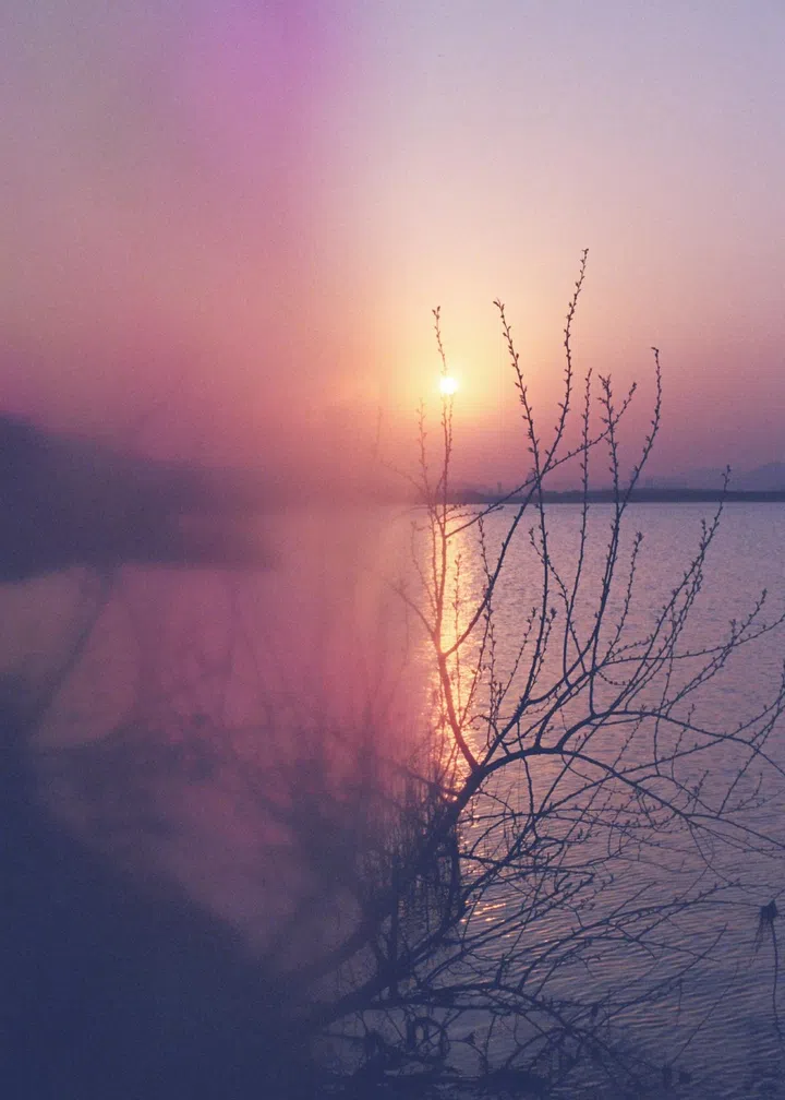 chanel metiers d'art hangzhou