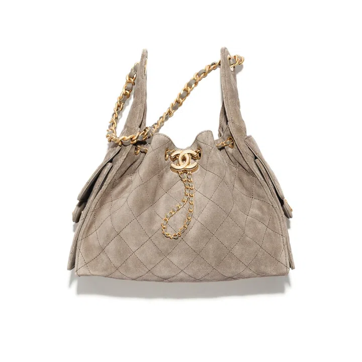 chanel cruise 2025 hobo bag chanel 25