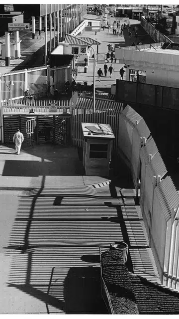 Wolfgang Tillmans Exhibition In Paris