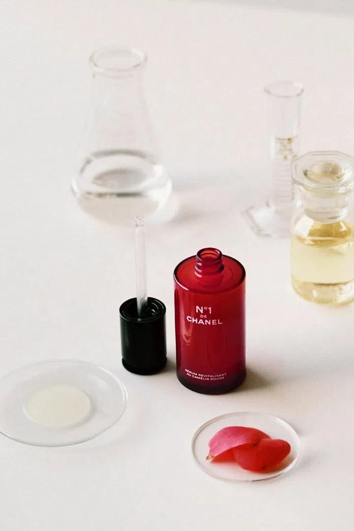 chanel red camellia