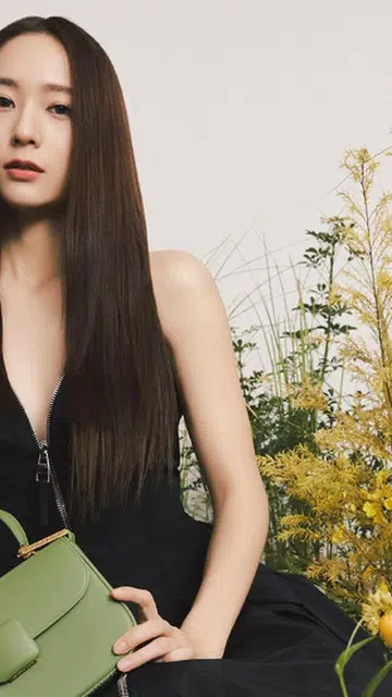 krystal charles & keith