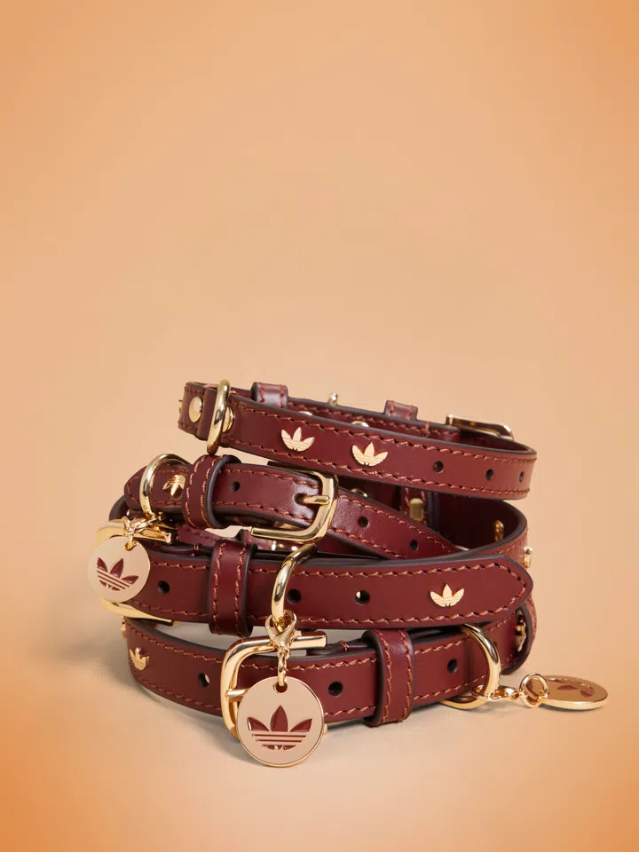 Adidas Pet Collection - pet collars