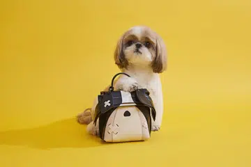 dog bag