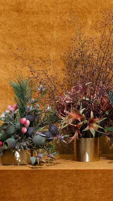 this humid house holiday