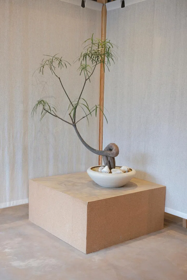Soil Boy New Bahru