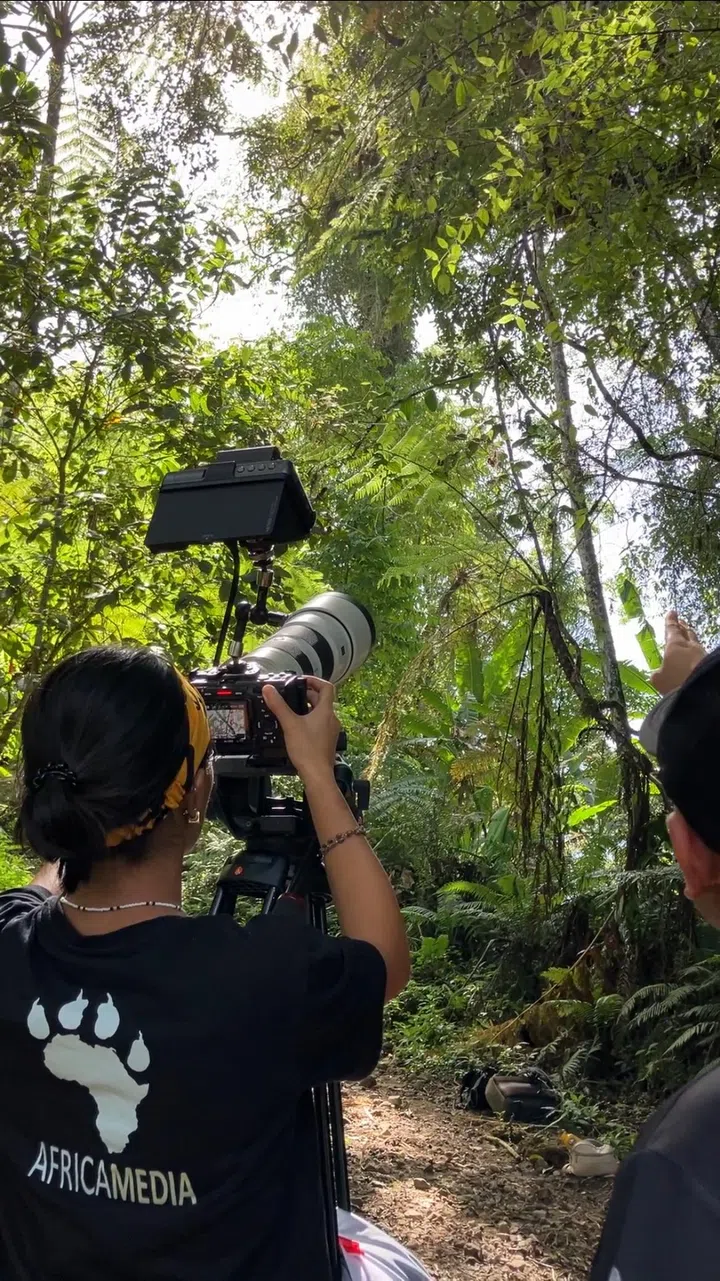 Nikki Tan Singapore sustainability filmmaker