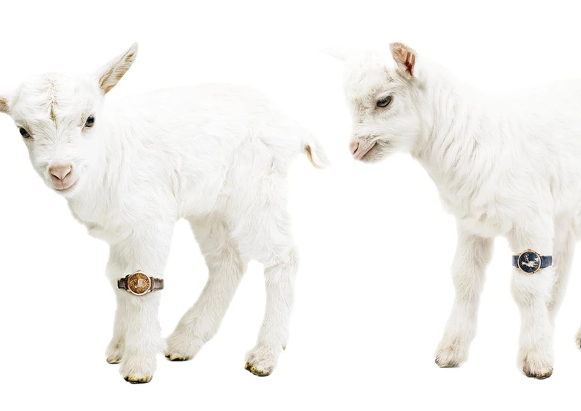 These Cute Watches Feature Exquisite Designs Of Goats - Female | FZINE ...