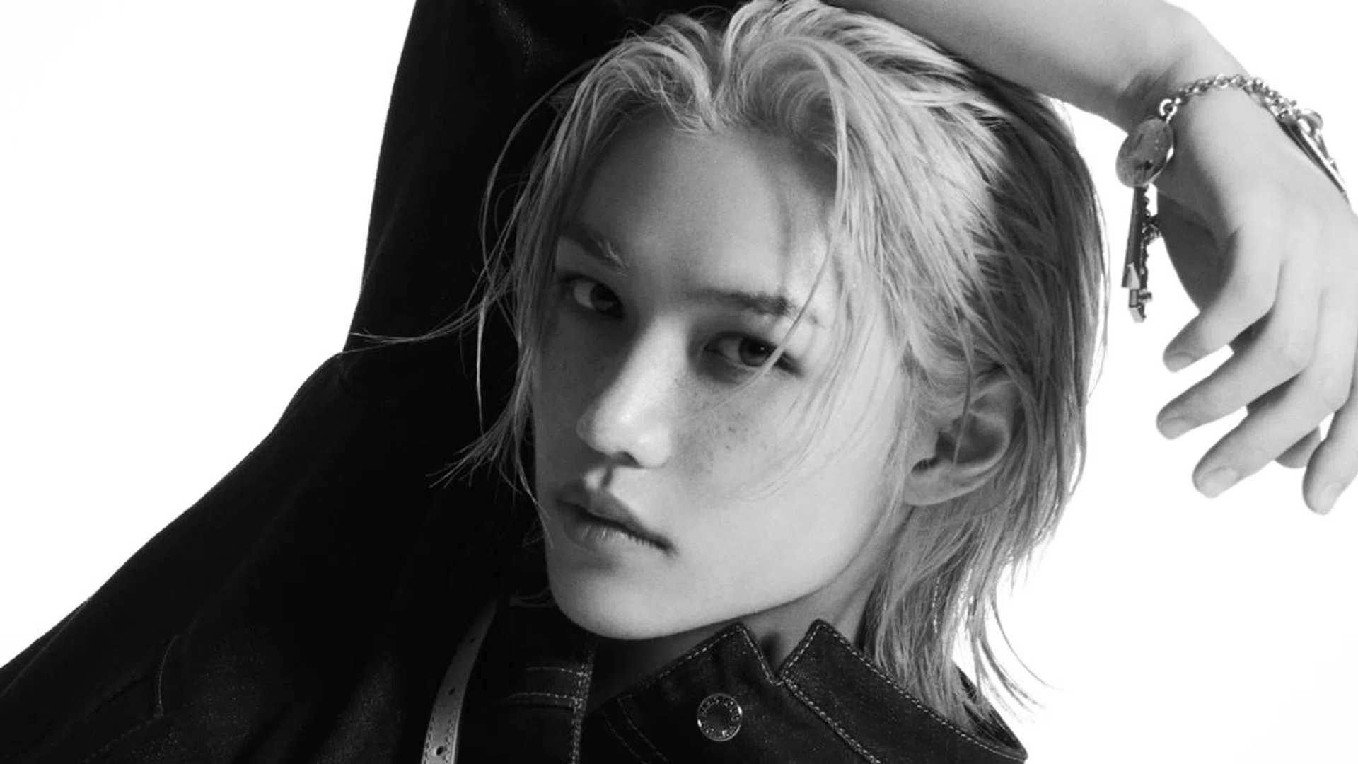 felix stray kids louis vuitton