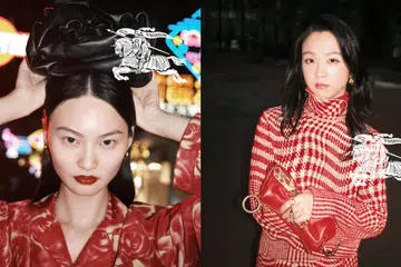 burberry lunar new year