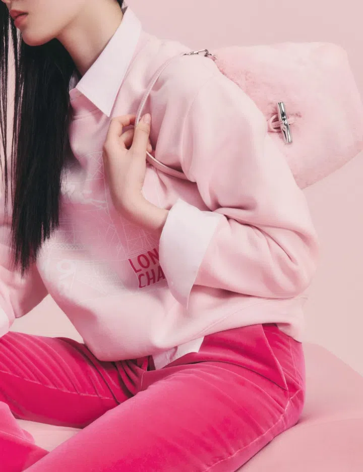 Le Roseau Longchamp bag furry