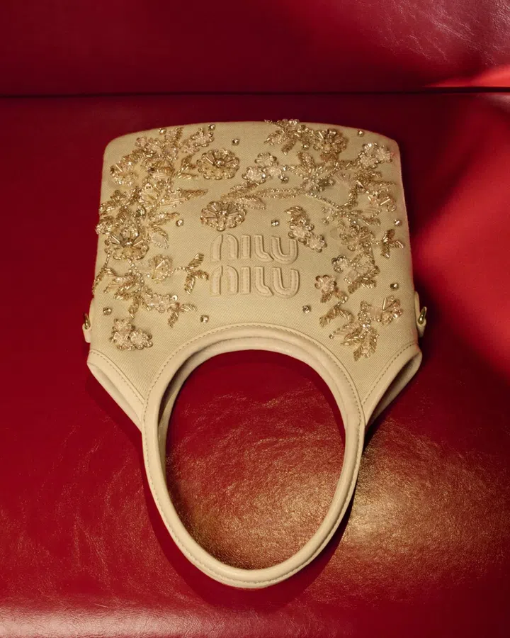 miu miu chinese new year bag