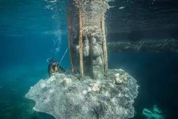 Underwater Museum of Cannes