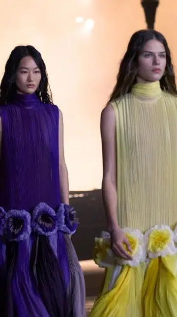 Dior Cruise 2027