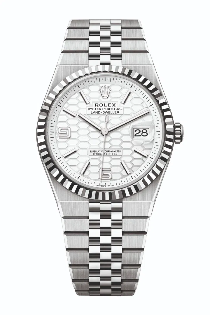 OYSTER PERPETUAL LAND-DWELLER