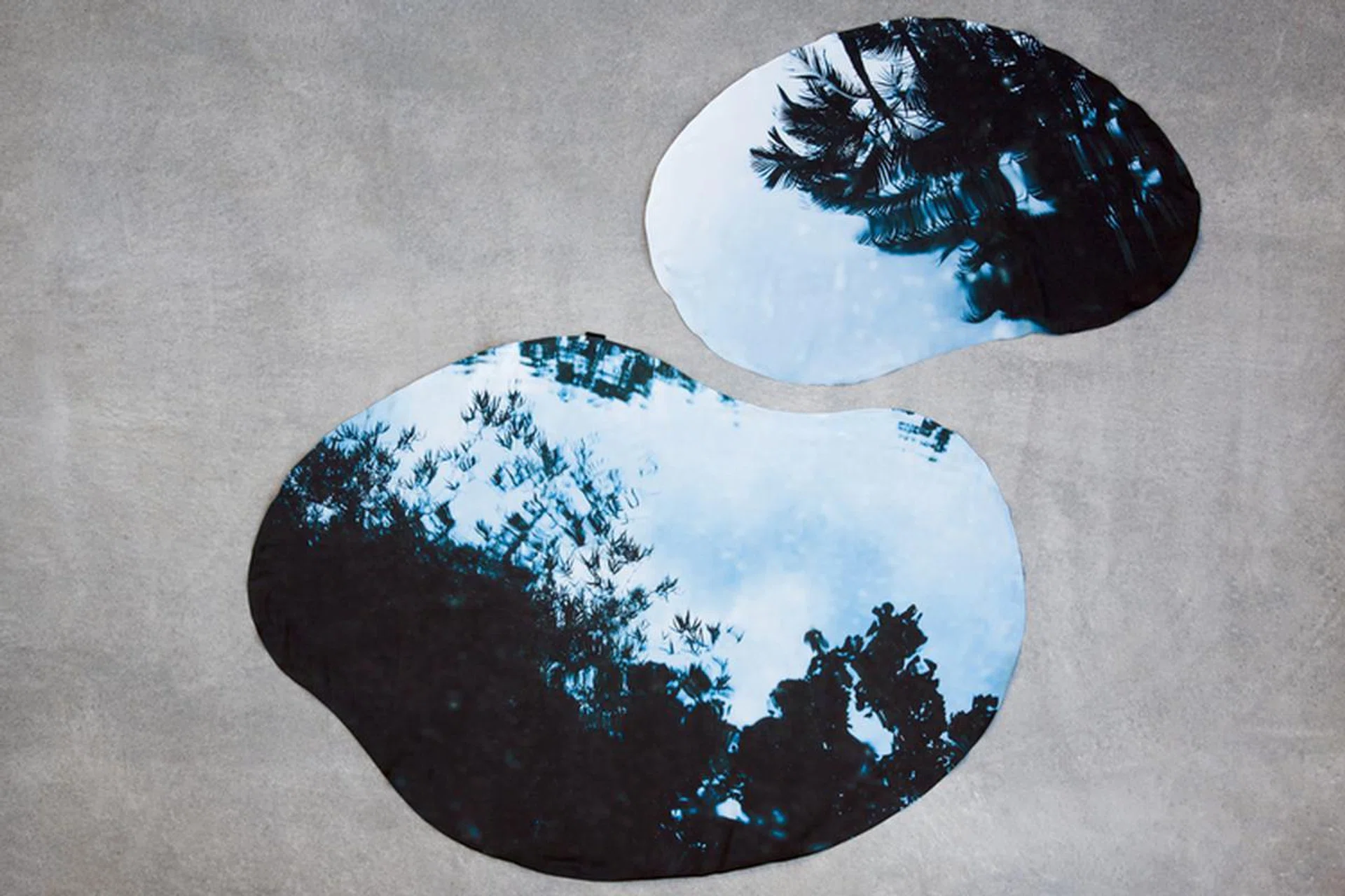 Asylum x Asakura Senpu