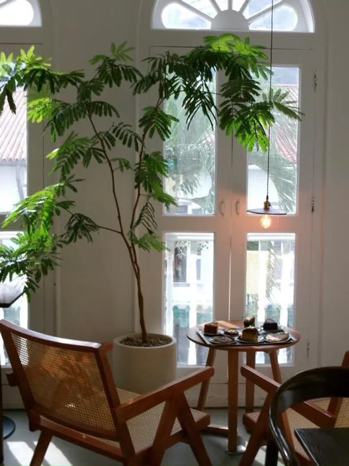 Hidden cafes in Singapore - Butter Tgt