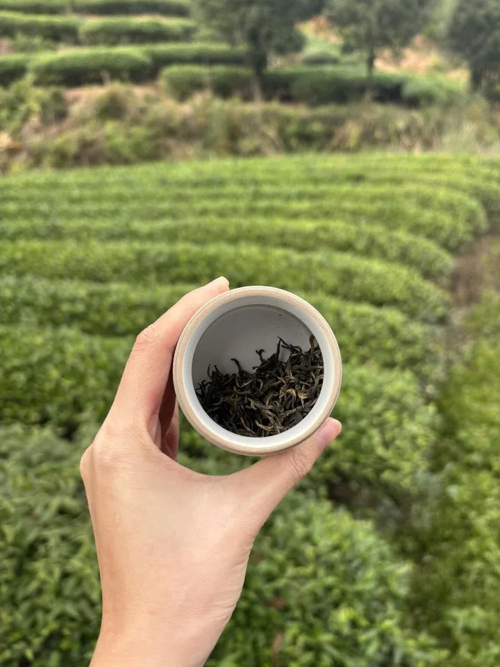  girl in love tea Ding Chiern Yin