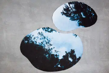 singaplural 2017 highlights