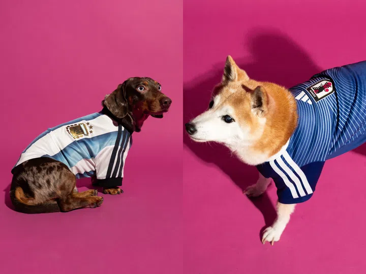 Adidas Pet Collection - pet fifa jerseys