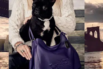 coach pups lady gaga