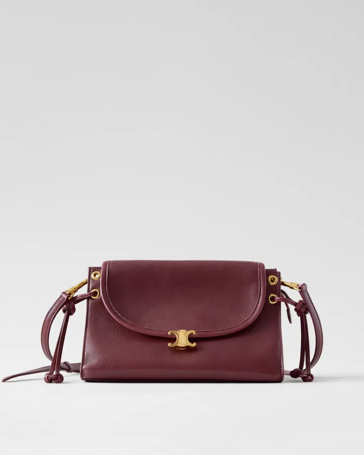 Celine Soft Triomphe Little Wedge in Syrah