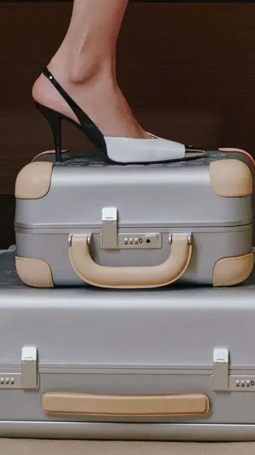 Louis Vuitton x Marc Newson - Horizon Aluminium luggage