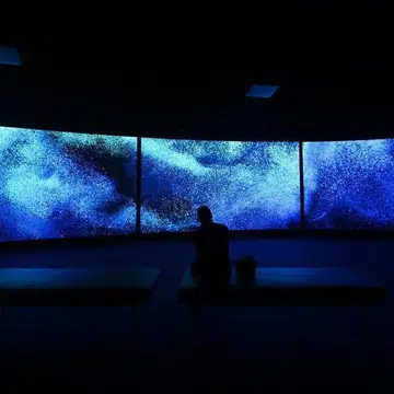 Into the ocean exhibition at ArtScience Museum Singapore 2026