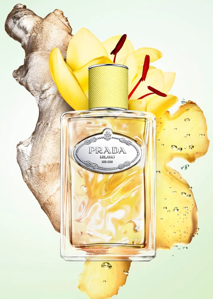 INFUSION DE GINGEMBRE EAU DE PARFUM, PRADA