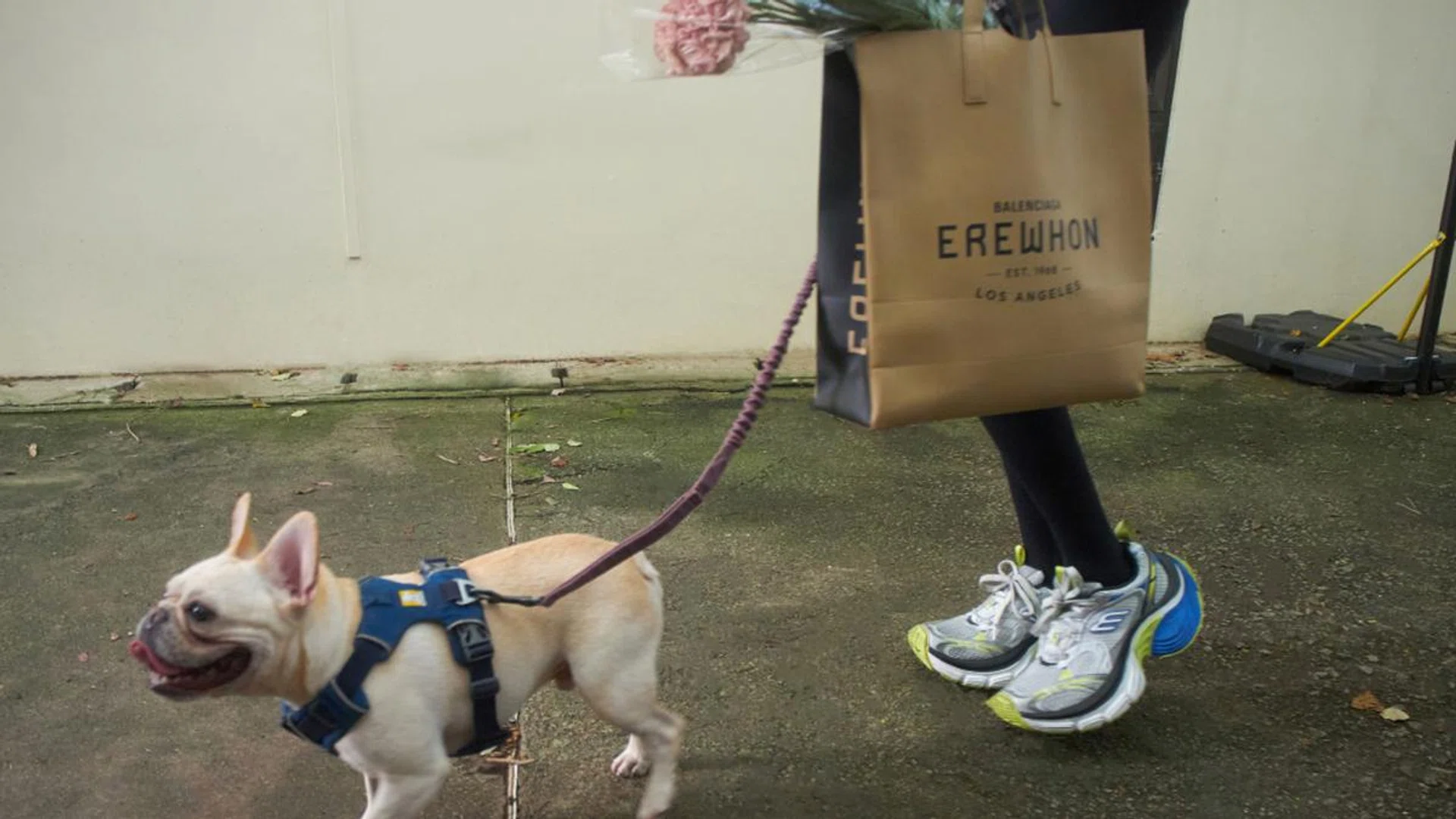 10XL mesh, TPU and rubber sneakers; spandex leggings; and Erewhon Los Angeles leather tote, Balenciaga
