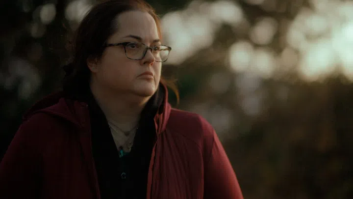 Netflix show summary