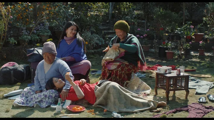 Shape of Momo SGIFF 2025