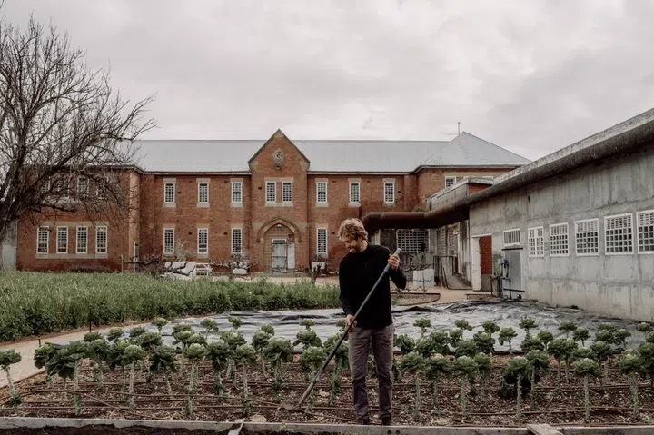 The garden at Agrarian Kitchen australia
