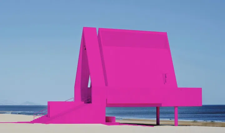 valentino pink pp douglas coupland