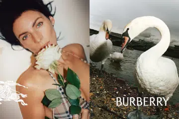 burberry logo
