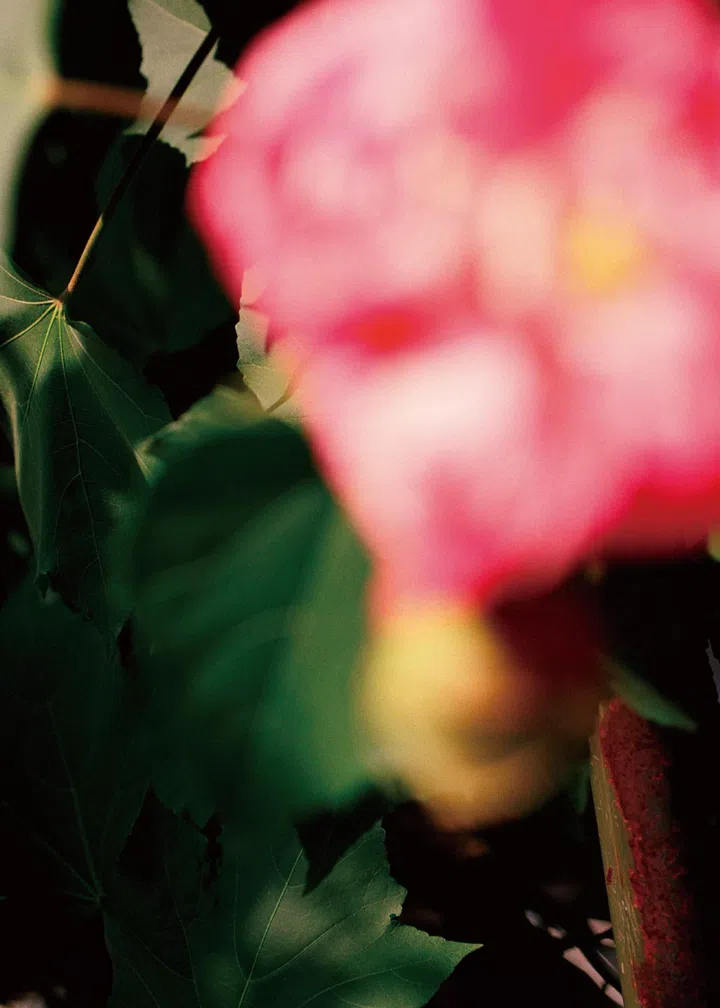 chanel metiers d'art hangzhou