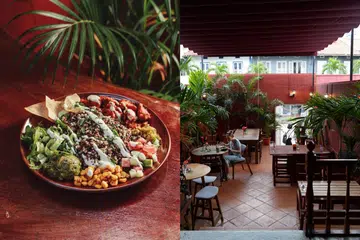 Best Vegan Cafes and Restaurants in Singapore