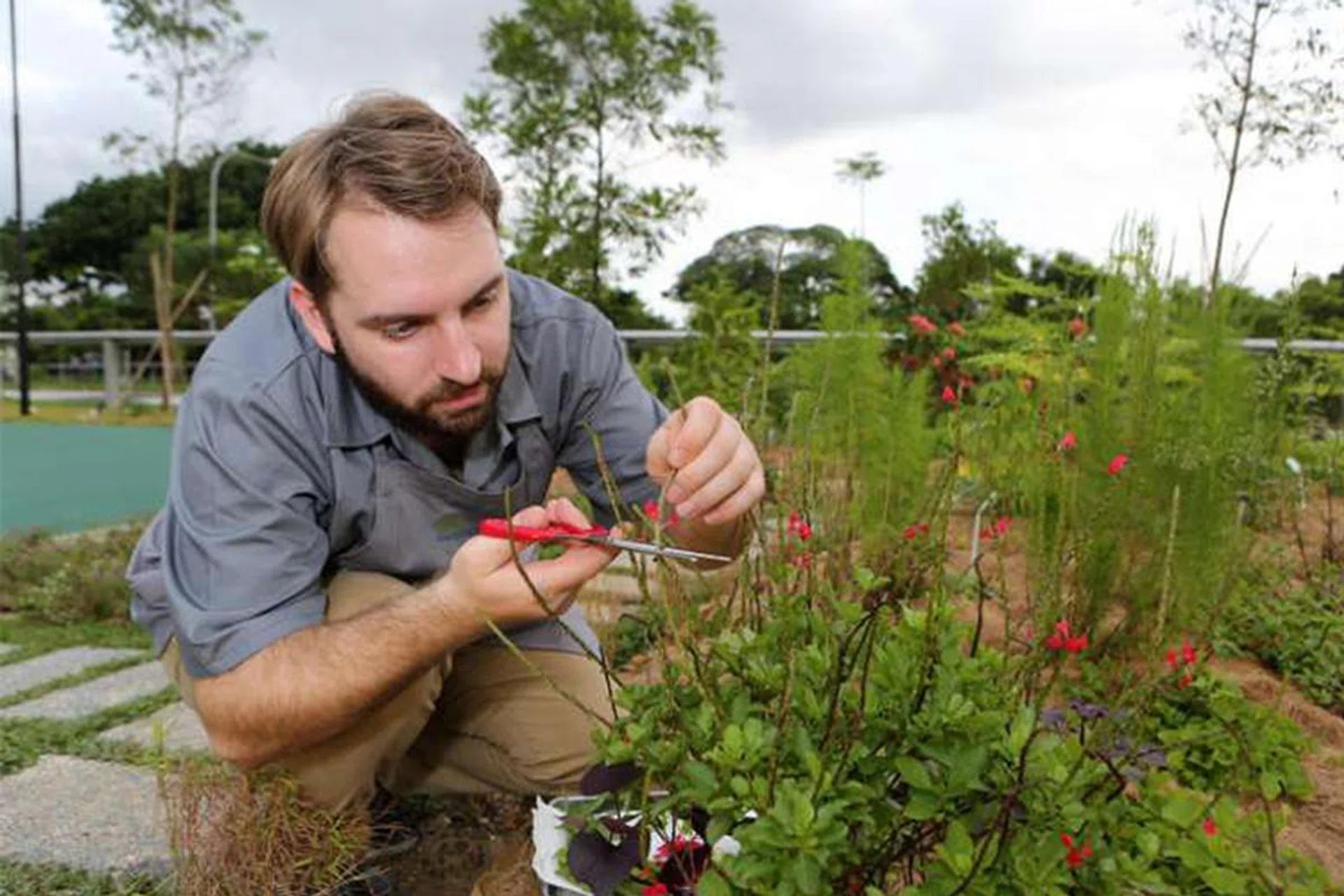 Chef Florian Ridder of Summerhouse travels to Cameron Highlands to select produce for his kitchen Photo: Lianhe Zaobao