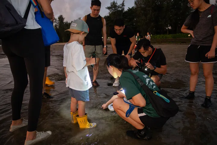 Noelle Ong Singapore ecologist