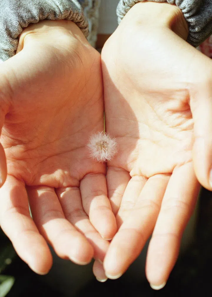 chanel metiers d'art hangzhou Yilan Hua