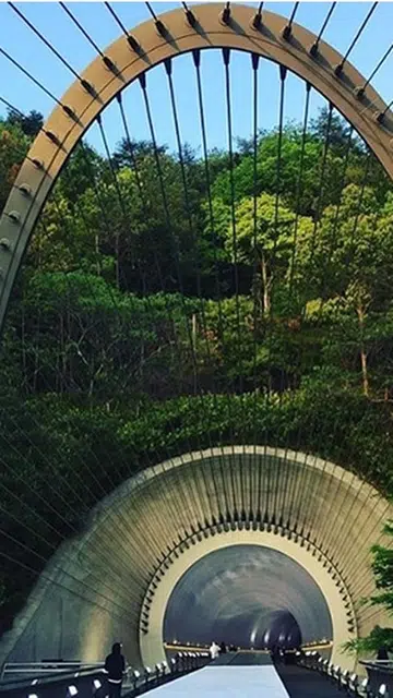 louis vuitton cruise 2018 kyoto