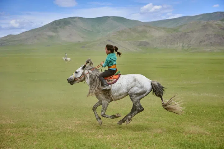 Mongolia, Bayankhongor province, Naadam, traditional festival, horse racing