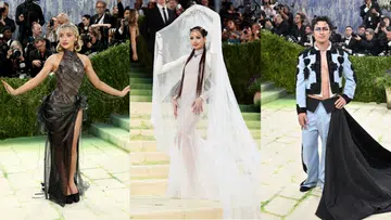 Best Met Gala 2026 Celebrity Looks