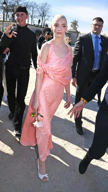 Celebrities at Dior Fall Winter 2026 Paris Fashion Week