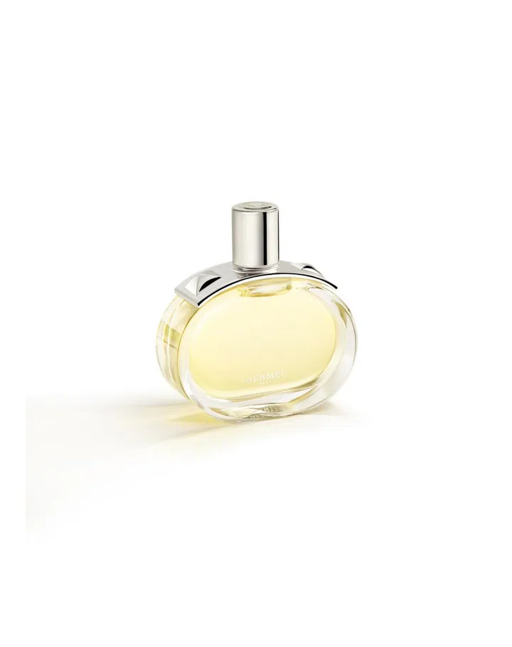 zodiac astrology holiday gift christmas gift scorpio hermes chypre barenia