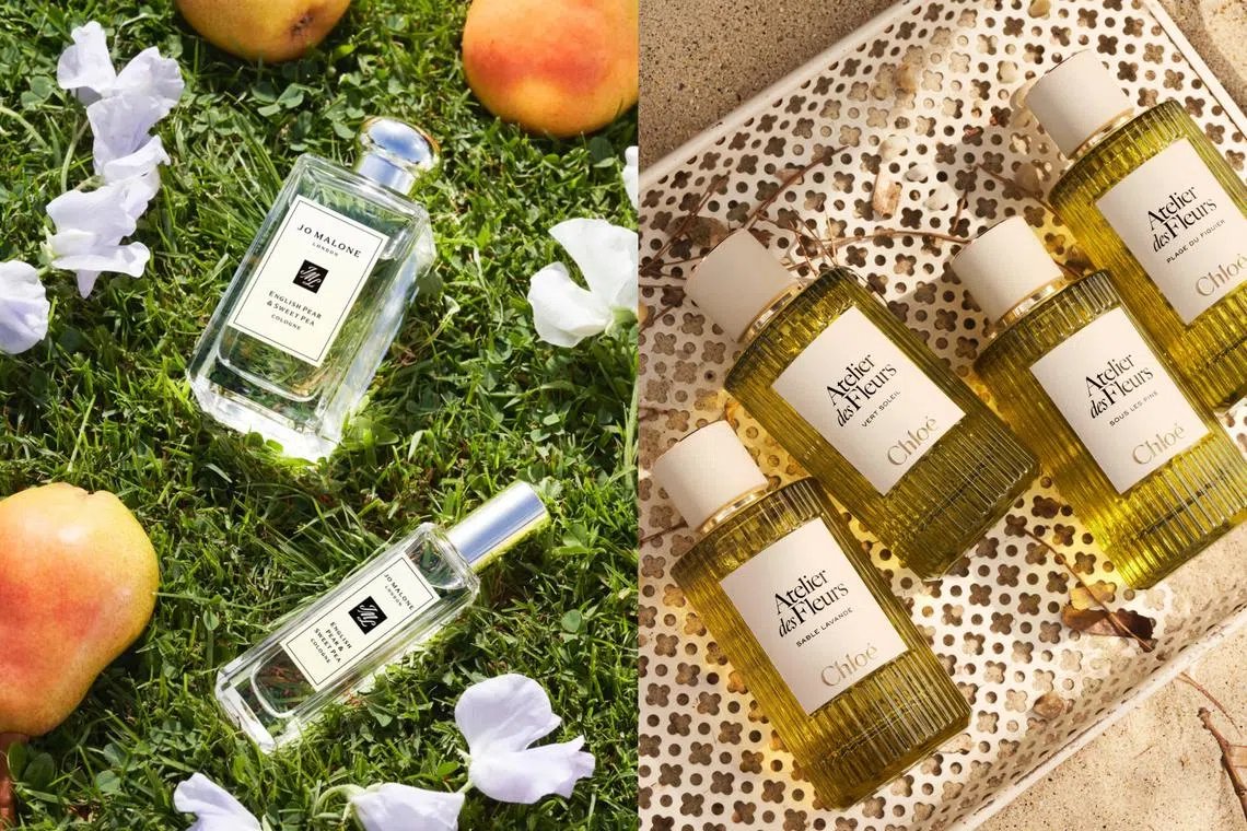 All The Best New Perfume Launches To Get Your Hands On In 2026 | FZINE ...