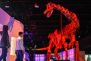 Dino Disco: The Last Dance - dinosaur rave at Science Centre Singapore
