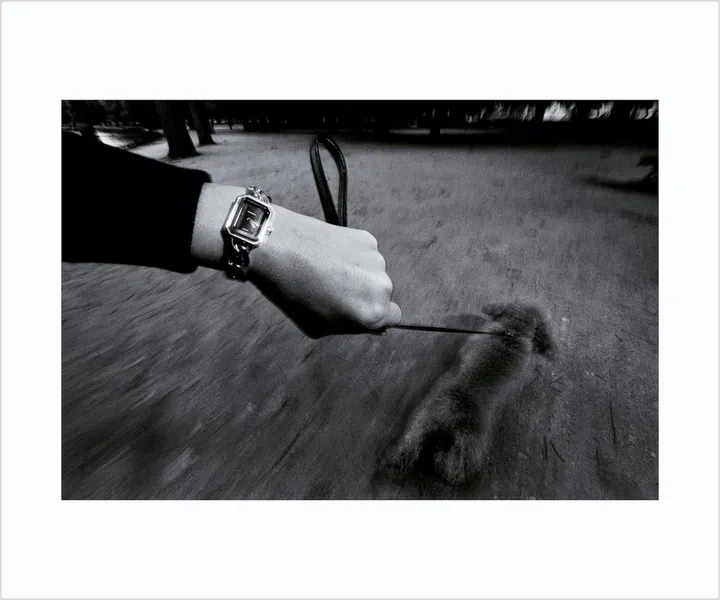 chanel watch