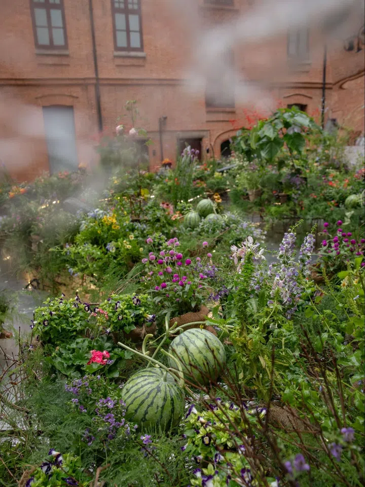 The Mirror garden installation by This Humid House and Beast Shanghai at Rockbund Square